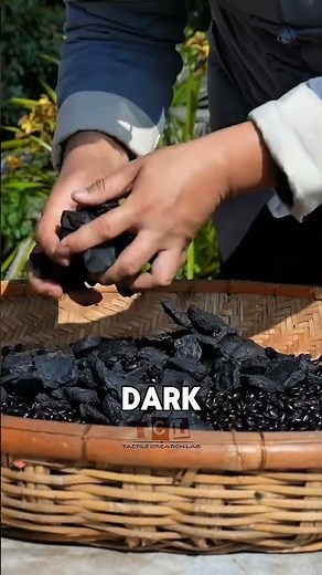 The Root That Can Clean Your Hair #shorts