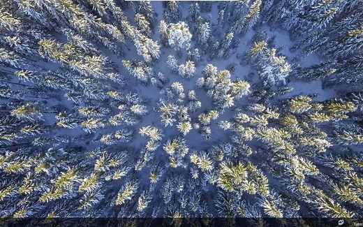 Linux应用_Arch使用平铺式窗口管理器i3-gaps