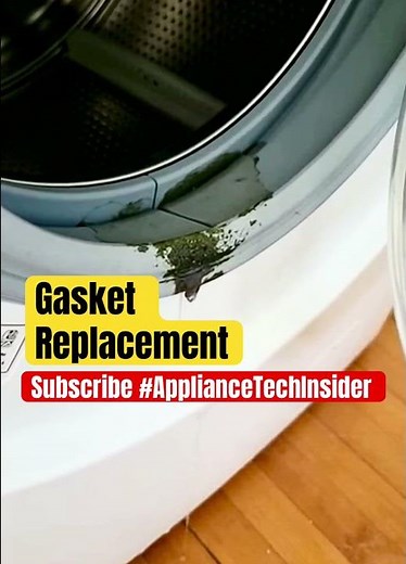 Moldy Washer Seal = Bigger Damage Coming