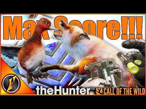 MAX SCORE Diamond with the New .410! + Piebald Fox! | Call of the Wild