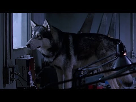 Alien Dog in The Thing (1982)