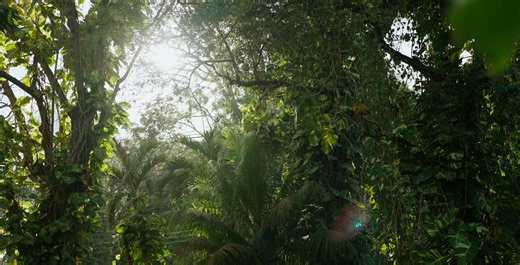 Teaser Corina & Francisco