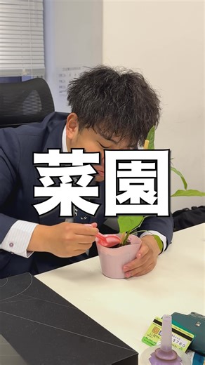 上司に植木鉢の土を食べさせたらガチギレされた