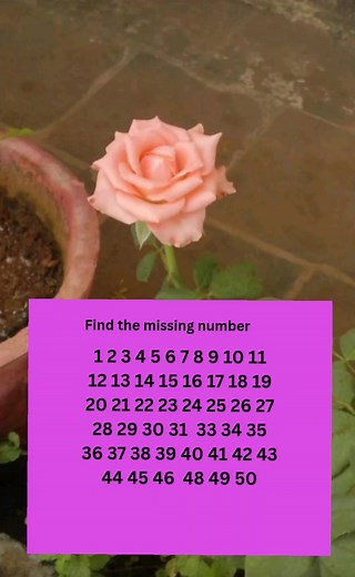 179K views · 606 reactions | Find the missing numbers #reelsfacebook #reelschallenge #brainteaser #puzzle #Youtube #quiz | Chota Relaxation | Facebook