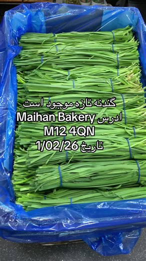 Discover Fresh Gandeh at Maihan Bakery in Manchester
