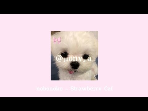 ⋆౨ৎ˚⟡˖ ࣪A cute silly playlist!! ( ꩜ ᯅ ꩜;)⁭
