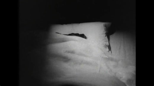 PETER MURPHY - All Night Long (1988) | ruidos estranhos