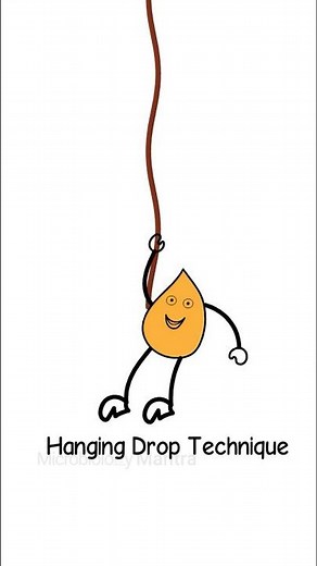 Hanging-Drop technique #microbiology #microbiologyclass #microbiologynotes