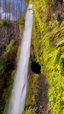Discover the beauty of Oregon's Columbia River Gorge