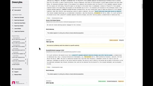 DescrybeLM Legal Reasoning Engine Workflows: Descrybe Review | Kara Peterson