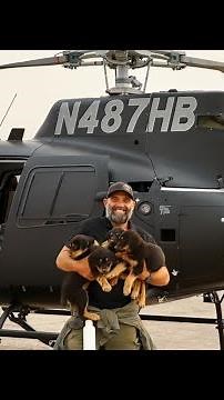 Rottweiler and her puppies rescued after being left in truck during Park Fire