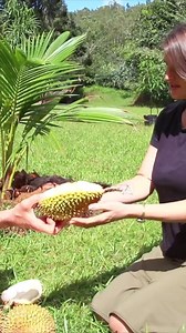STARTING OVER - TOUR of our NEW OFF GRID PROPERTY DAY 1 - Update of Our BABY - Part 2✅#Jake&Nicolle #bushcraftsurvival #JakeandNicole #Gardening #survival #offthegrid #offgrid #fyp | Off Grid Jake and Nicole