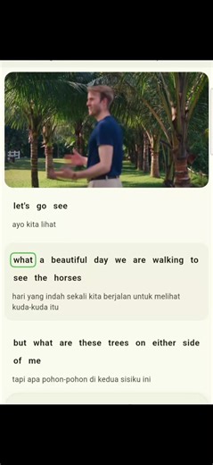 Mastering English with Comprehensible Input Techniques