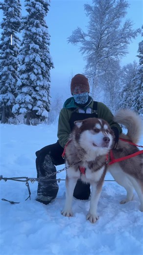 Embracing Alaskan Cold with Sled Dogs