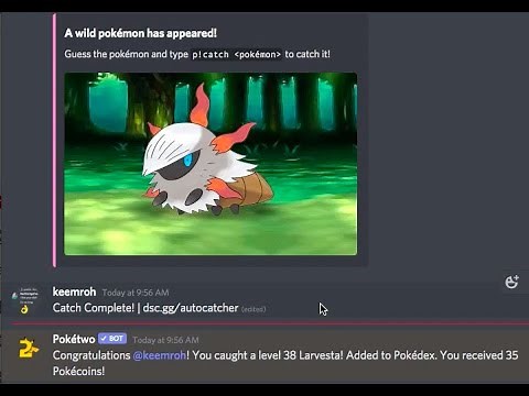 Pokétwo Autocatcher Tutorial | UNDETECTABLE AUTOCATCHER