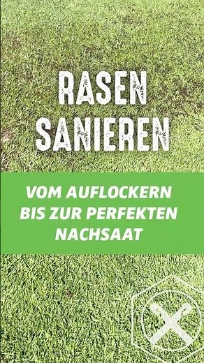 🌱 Rasen sanieren – Vom Auflockern bis zur perfekten Nachsaat