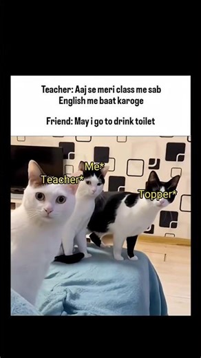 English #tweetreels #trending #aestheic #funny #sadquotes #viral #shortsfeed #shorts #shortsviral