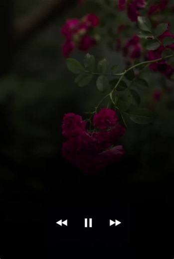 ＳＨＡＲＰ ＬＹＲＩＣＳ on TikTok