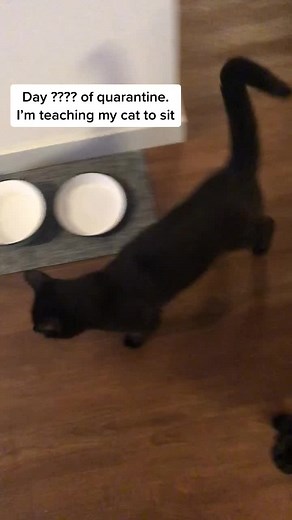 Rio Sierhaus (@rio.sierhaus)’s videos with original sound - Rio Sierhaus