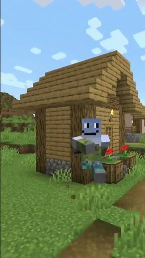 SECRET Villager Types in Minecraft!