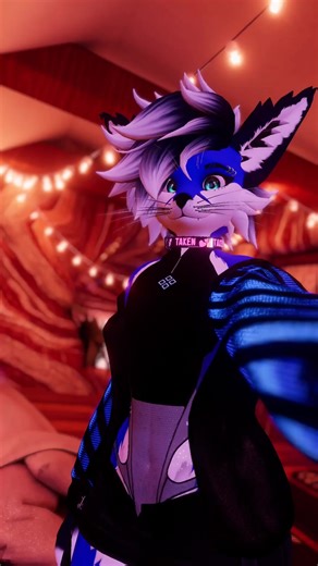 Exploring Furry Communities in VRChat