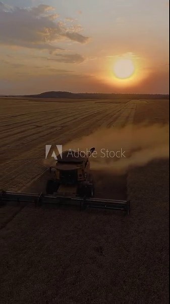 Soybean (Glycine max) harvesting with Case IH axial flow combine and flex header in Formosa, Goiás, Brazil, showing dust plume, harvest lanes and mechanized grain production, vertical aerial