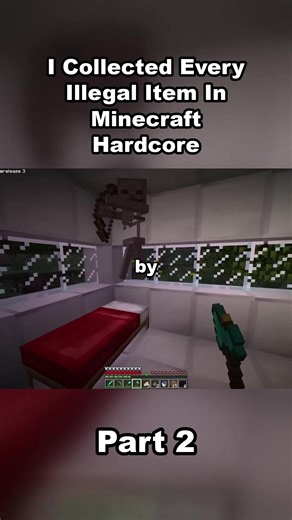 Collecting Illegal Items in Minecraft Hardcore: Part 2