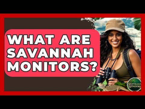 What Are Savannah Monitors? - Reptilian Wonders