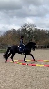 9.3K views · 122 reactions | This is an 8 pole layout, I love this...