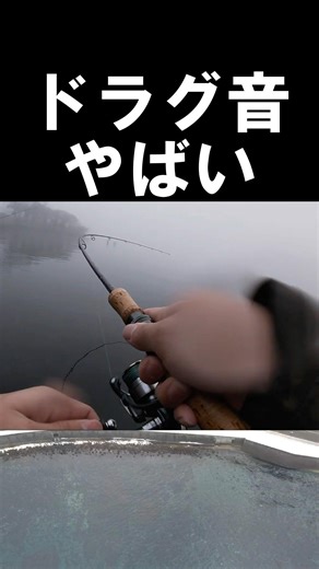 芦ノ湖解禁日の思い出 #釣り #トラウトフィッシング #fishing #troutfishing #芦ノ湖
