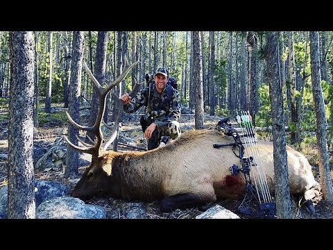 Archery Elk Hunt Montana - Stuck N the Rut 142