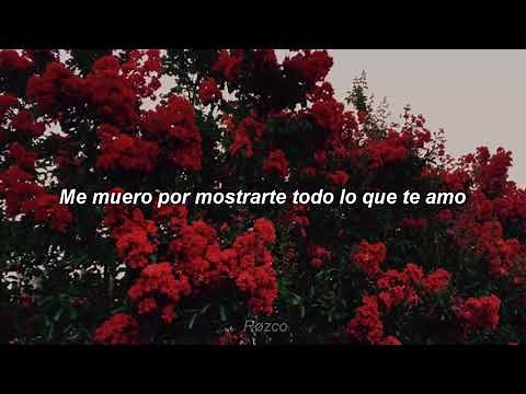 Charlie Rodd - Soñar Contigo [Letra]