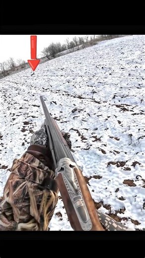 Охота на дикого кролика в снежной глуши #snowhunting #hunting#challenge #chass#rabbit hunt