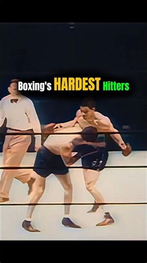 Hardest punchers in boxing HISTORY | One punch knockouts #boxing #boxeo #hardesthitters #fightfans