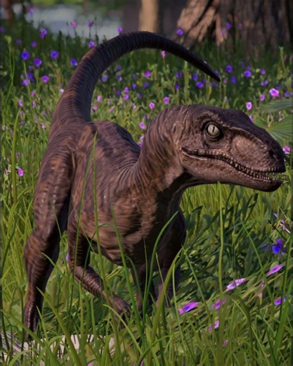 5 facts about velociraptors