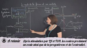 10K views · 513 reactions | Le cycle de la femme et son contrôle schéma bilan | Biologie Simplifiée | Facebook