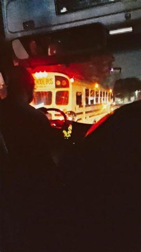 2015 Bluebird Vision Handicap ♿️ Bus 3160 and 2008 IC CE300 Sub Bus 2886(Remastered)