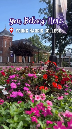 🌄 Discover what makes Young Harris College more than just a campus — it's a community, an adventure, and a launchpad for your future. 💜✨ Ready to find your home in the mountains? #ThisIsYHC #FutureMountainLion #YHCBound Visit https://yhc.edu for more information | Young Harris College