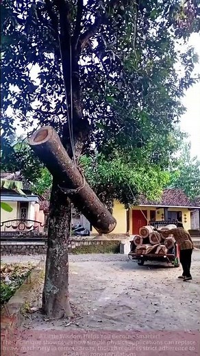 Log Loading Technique: Rope & Truck Method