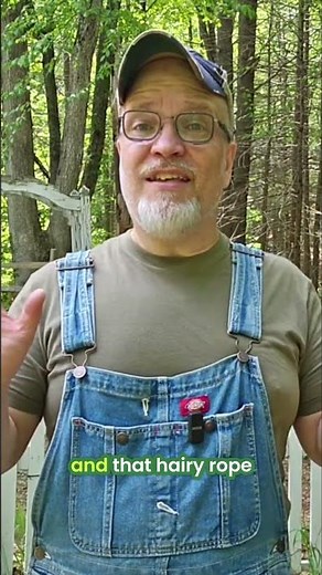 POISON IVY WARNING: Identify This Dangerous Plant For Family Safety #shorts