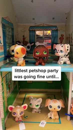 LPS Sage & Brooke Break Up: Should They Get Back Together?