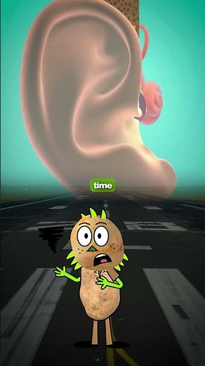 Why Do Your Ears Pop on an Airplane? The Science Explained! ✈️🦻