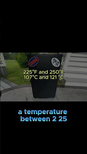 I Tried Setting the WRONG Temperature on My Masterbuilt and Here's What Happened