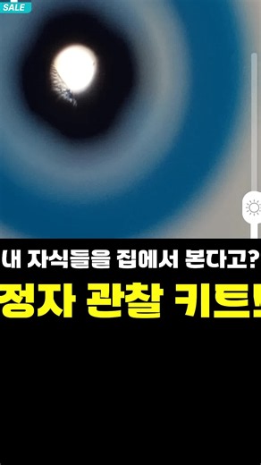 무서웠지만 직접 써봤습니다. 정자관찰키트 자가정자검사 하고보고 정자테스트기 [Ky6lyB5YNHQ]