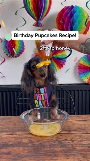 Dog Friendly Birthday Pupcakes Recipe