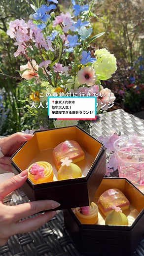 東京ミッドタウンで桜と美食を満喫