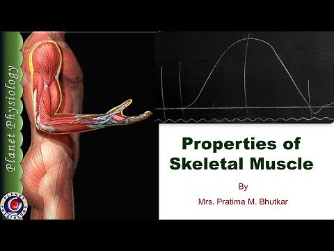 Properties of skeletal muscle