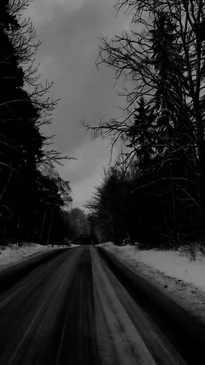 tvd.to.quotes0 on TikTok