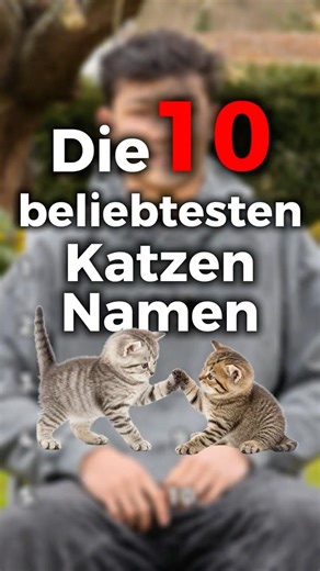 The 10 most popular cat names🤩😂