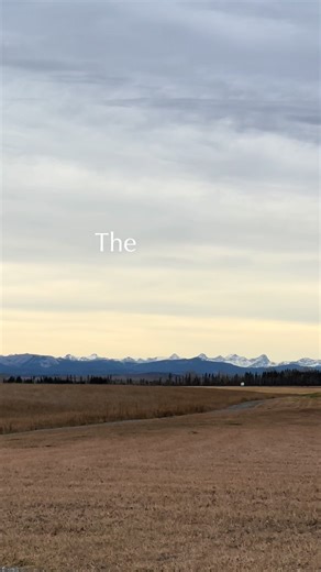 Looking back at the last year and all the meals we have shared with you. It has been a fantastic 2025. Filled with allergy friendly recipes and dishes. Wishing you a safe and happy new year! #2025newyear #2025recap #foodallergy